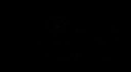 Khatri Gem Stone