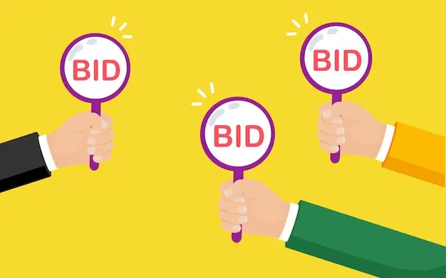 Google Ads Automated Bidding Strategy